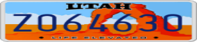 Truck License Plate