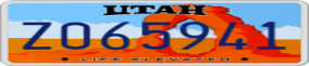 Truck License Plate