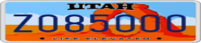 Truck License Plate