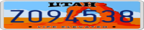 Truck License Plate