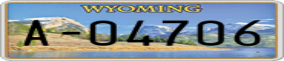 Truck License Plate