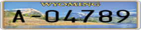Truck License Plate