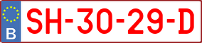 Truck License Plate