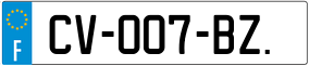 Trailer License Plate