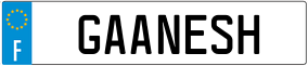 Truck License Plate