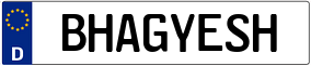 Truck License Plate