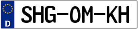 Truck License Plate