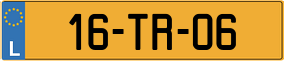 Truck License Plate