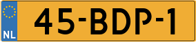 Truck License Plate