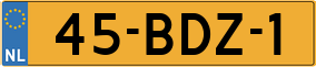 Truck License Plate