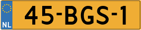 Truck License Plate