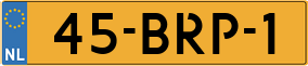 Truck License Plate