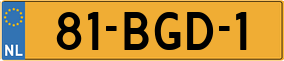 Truck License Plate