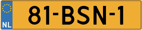 Truck License Plate