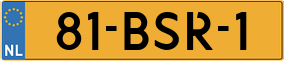 Truck License Plate