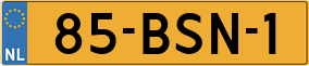 Truck License Plate