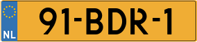 Truck License Plate