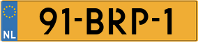 Truck License Plate