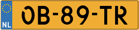 Trailer License Plate