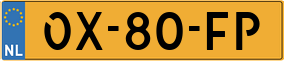 Trailer License Plate