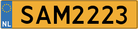 Truck License Plate