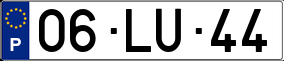 Truck License Plate