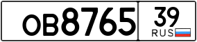 Trailer License Plate