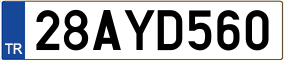 Truck License Plate