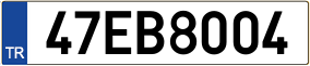 Trailer License Plate
