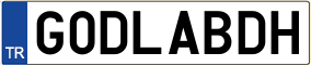 Truck License Plate