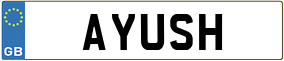 Truck License Plate