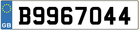 Trailer License Plate
