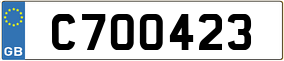 Trailer License Plate