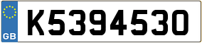 Trailer License Plate