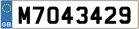 Trailer License Plate