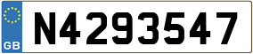 Trailer License Plate