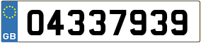 Trailer License Plate