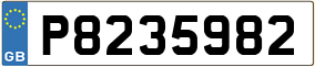 Trailer License Plate