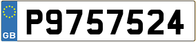 Trailer License Plate