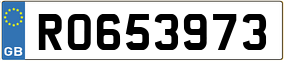 Trailer License Plate