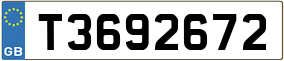 Trailer License Plate