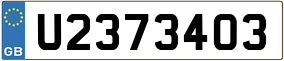 Trailer License Plate