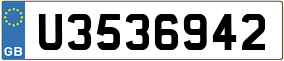 Trailer License Plate