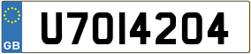 Trailer License Plate
