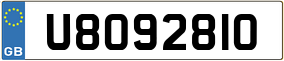 Trailer License Plate