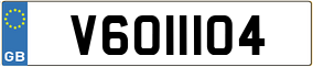 Trailer License Plate
