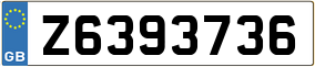 Trailer License Plate