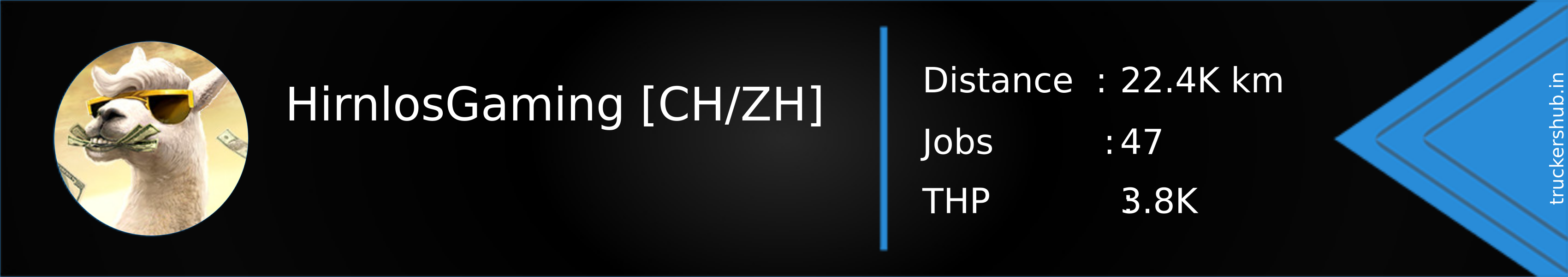 HirnlosGaming [CH/ZH] Banner