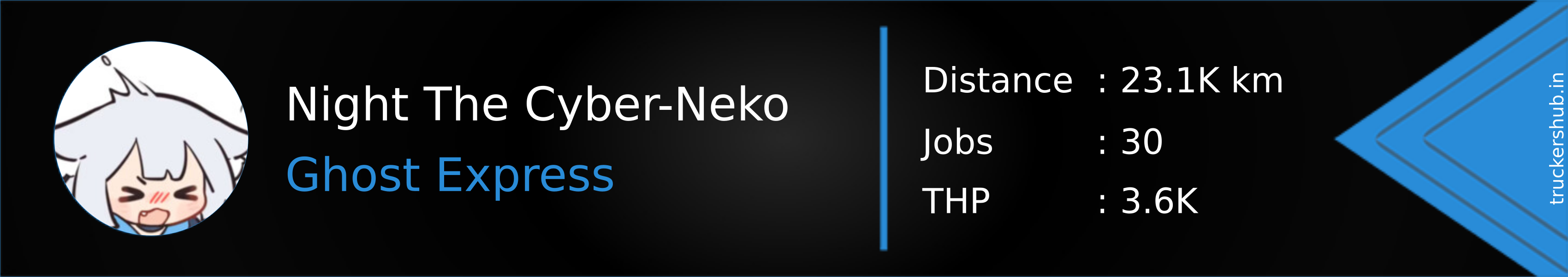 Night The Cyber-Neko Banner