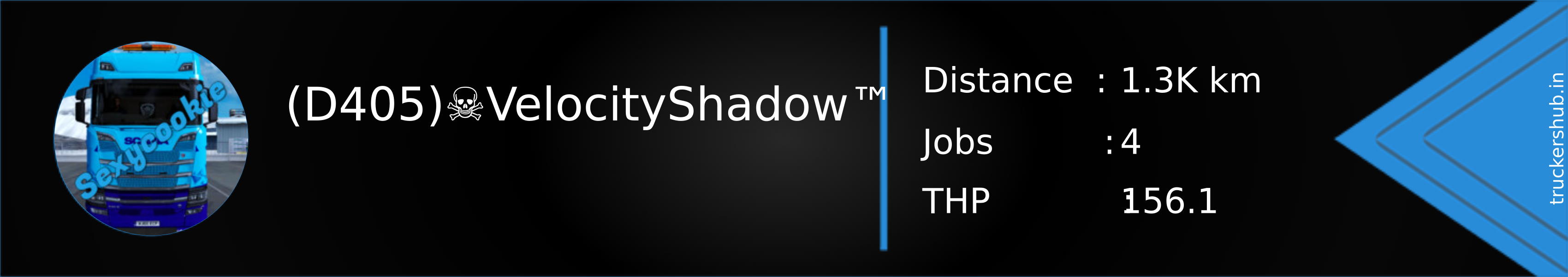 (D405)☠︎VelocityShadow™ Banner